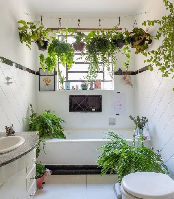 Plantas para Banheiro: +50 Ideias de Decoração para Ambientes Úmidos